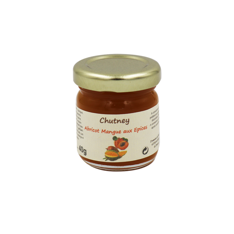 Chutney abricot mangue aux épices 40g Les Chemins de Provence